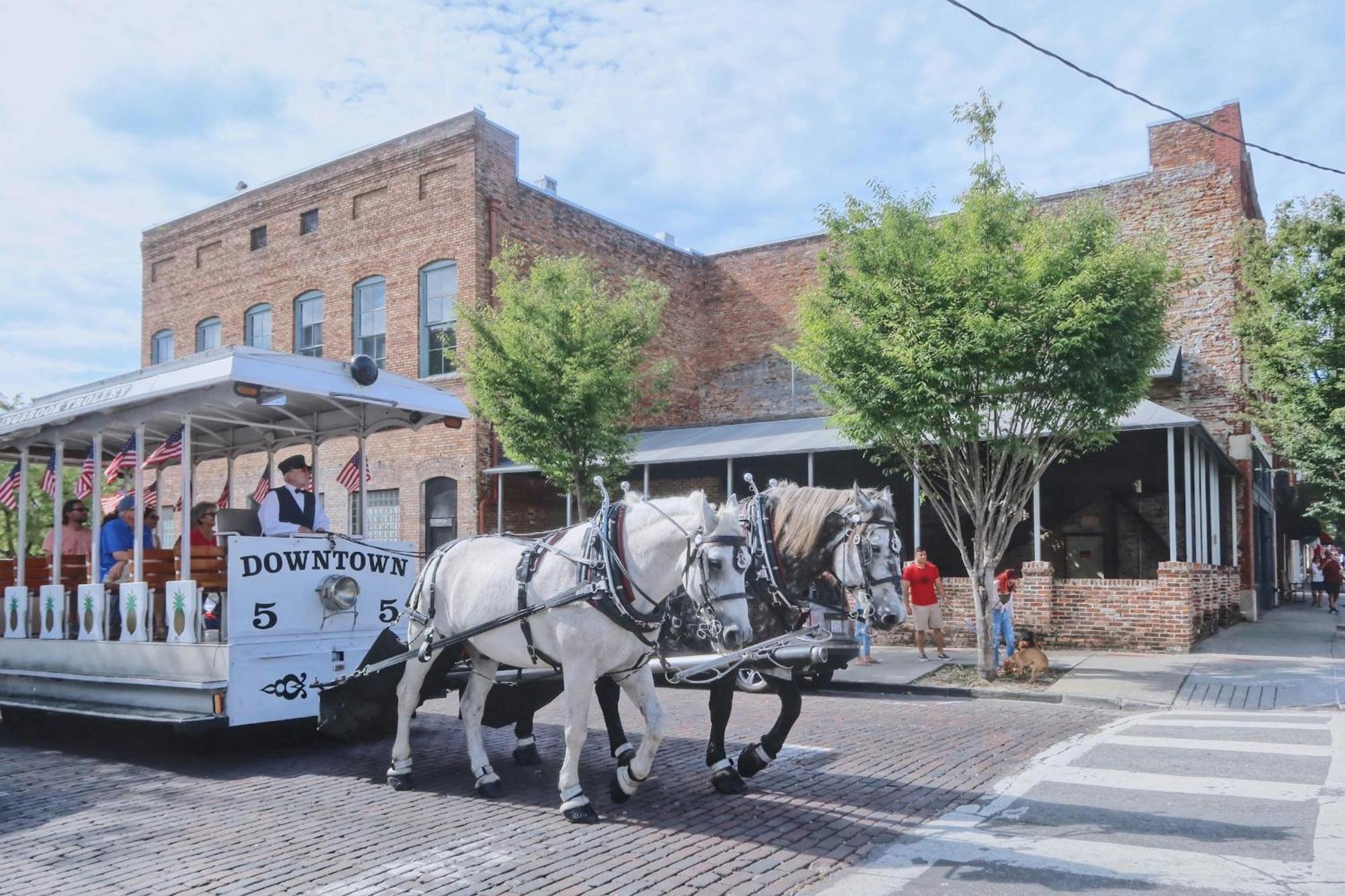 Bluewater Downtown Cottage ウィルミントン エクステリア 写真